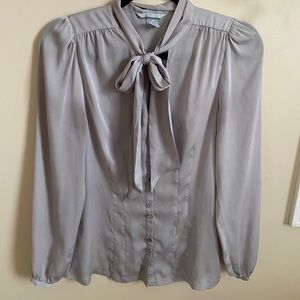Silk Silver Button Up Work Blouse